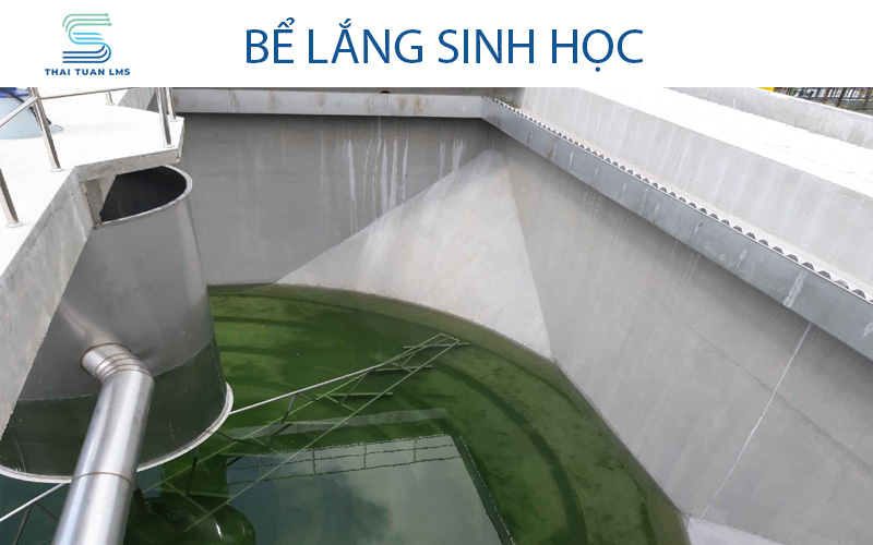 Bể lắng sinh học