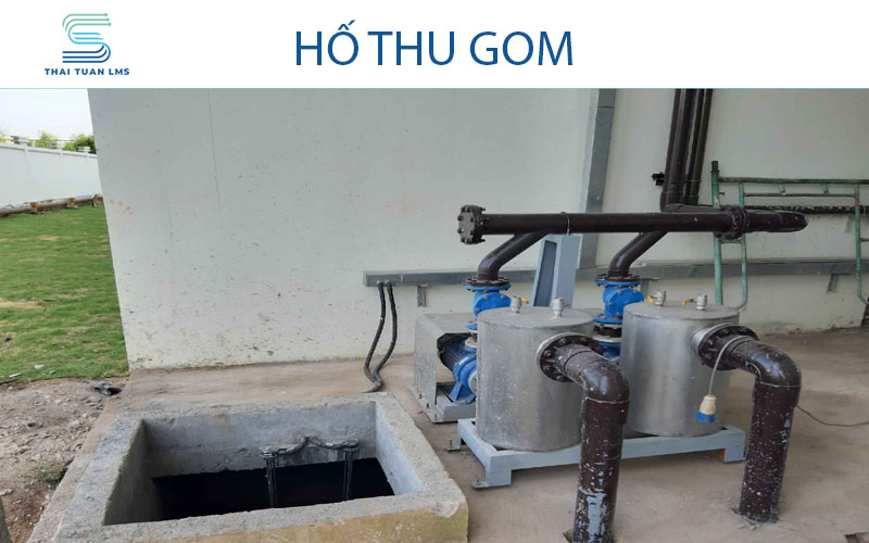 Hố thu gom