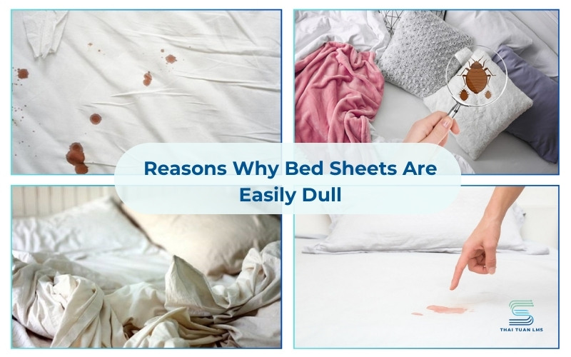 Reasons Why Bed Sheets Are Easily Dull