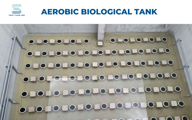 Aerobic Biological Tank (Aerotank)