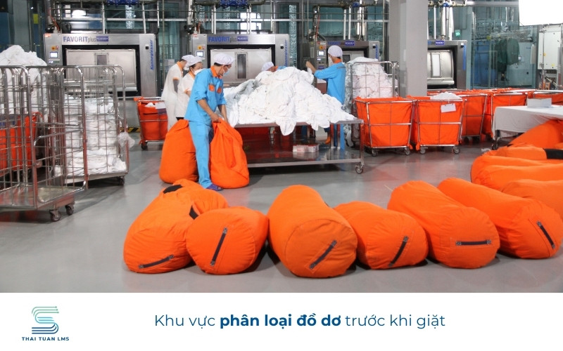 Phân loại đồ dơ