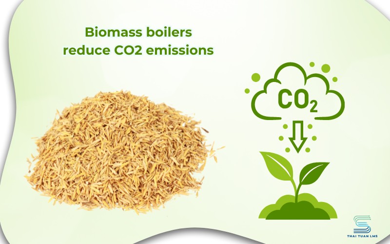 Biomass Boiler with Zero CO2 Emissions