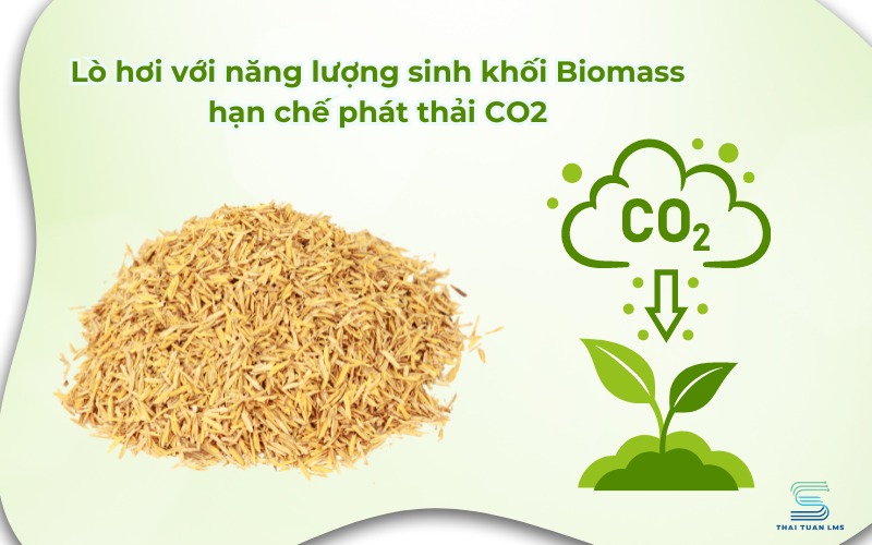 Sử dụng năng lượng sinh khối Biomass hạn chế phải thải CO2
